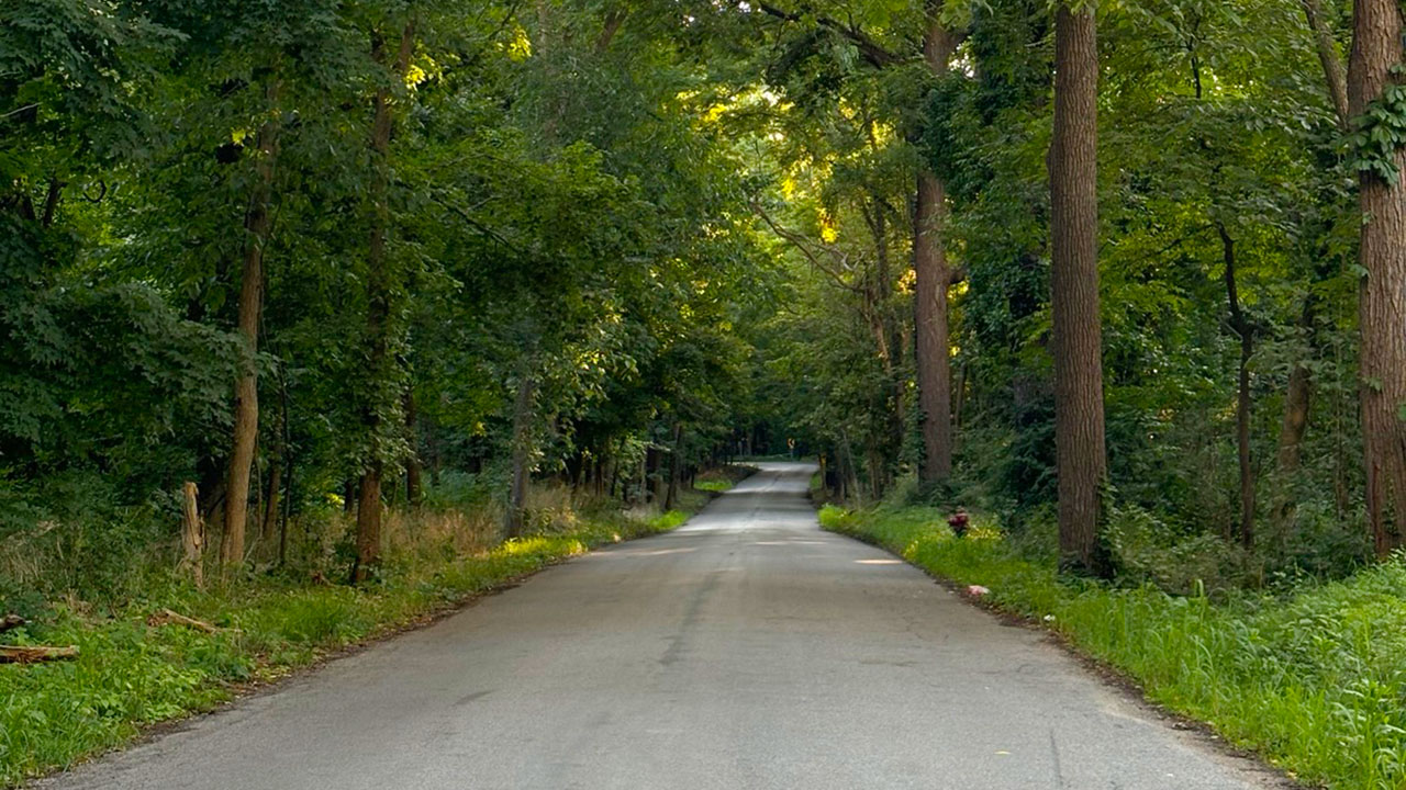 La entrada a los parques estatales de Michigan será gratuita el sábado 13 y domingo 14 de junio con el Three Free Weekend.