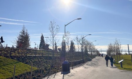 Detroit espera aire limpio tras una mala calidad del aire por los incendios forestales de Canadá.