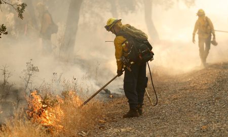 Mientras Estados Unidos enfrenta múltiples incendios forestales, Michigan está en riesgo de desarrollar nuevos incendios forestales.