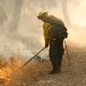 Mientras Estados Unidos enfrenta múltiples incendios forestales, Michigan está en riesgo de desarrollar nuevos incendios forestales.