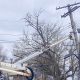 Miles de hogares en Metro Detroit acumulan tres días sin energía eléctrica tras una intensa tormenta.