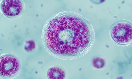 Michigan ya registra sus primeras muertes ligadas al brote de ciclosporiasis.