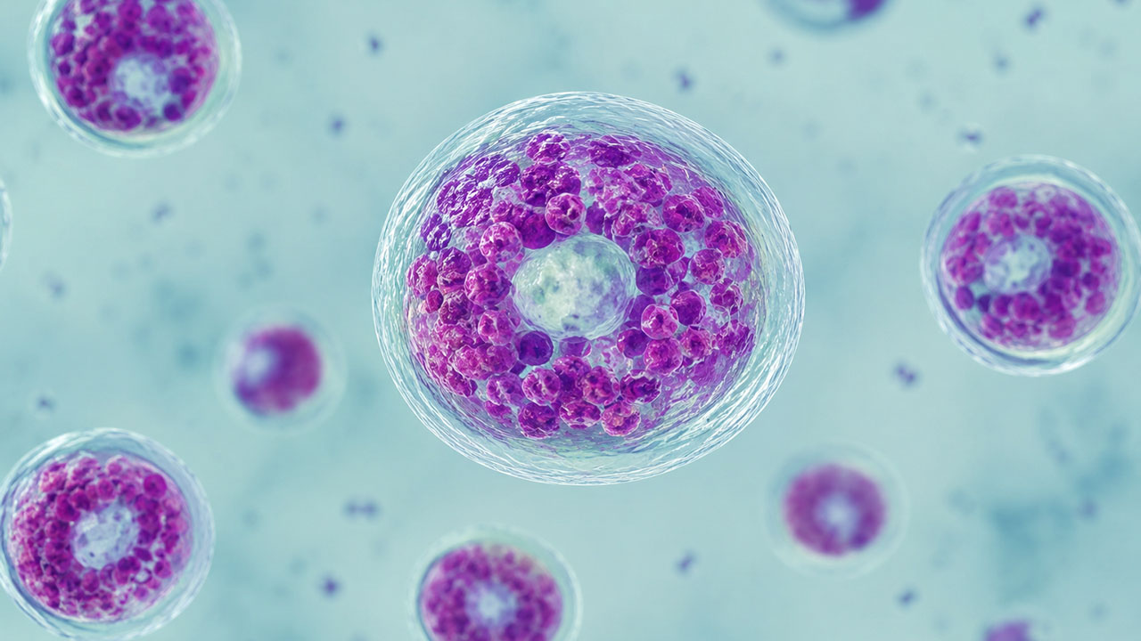 Michigan ya registra sus primeras muertes ligadas al brote de ciclosporiasis.