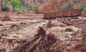Las inundaciones repentinas en el Gran Cañon de Arizona provocaron la muerte de una persona y varias desapariciones.