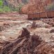 Las inundaciones repentinas en el Gran Cañon de Arizona provocaron la muerte de una persona y varias desapariciones.