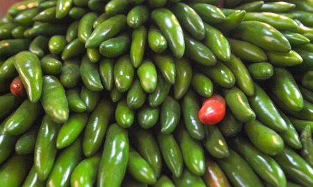 Chiles jalapeños mexicanos y derivados asociados a un brote de salmonela en Estados Unidos fueron retirados del mercado por Taylor Farms.