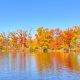 Metro Detroit se acerca a su punto máximo de colores de otoño de 2026.