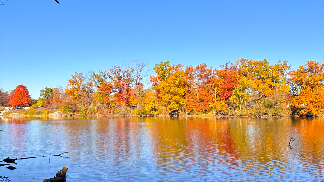 Metro Detroit se acerca a su punto máximo de colores de otoño de 2026.