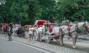 New York planea eliminar los paseos en carruajes tirados por caballos a partir del verano de 2028.