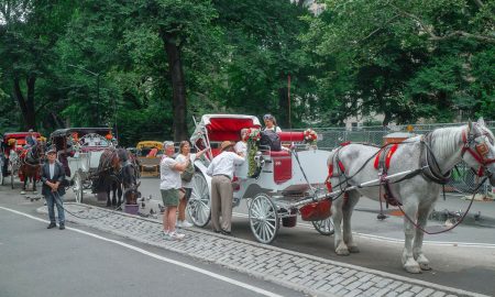 New York planea eliminar los paseos en carruajes tirados por caballos a partir del verano de 2028.
