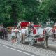 New York planea eliminar los paseos en carruajes tirados por caballos a partir del verano de 2028.