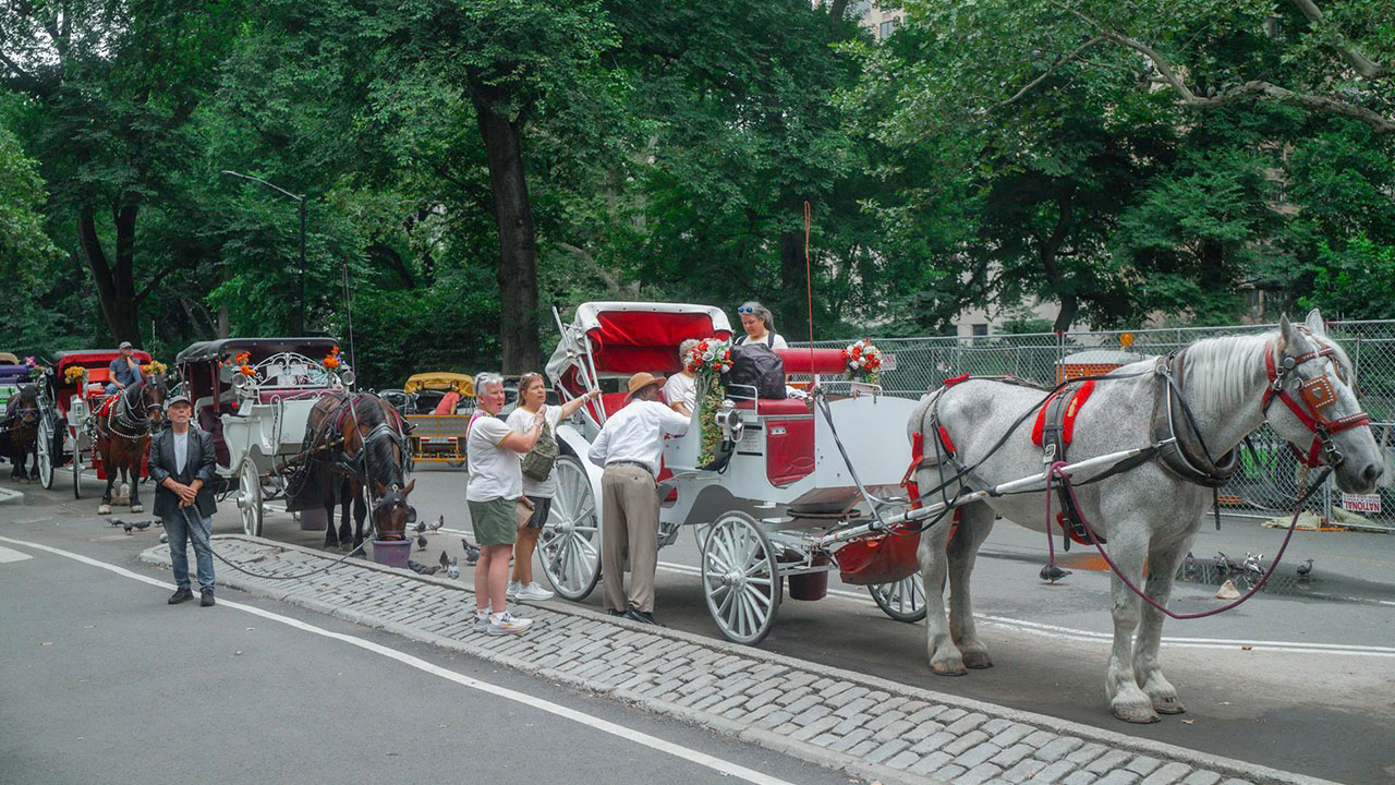 New York planea eliminar los paseos en carruajes tirados por caballos a partir del verano de 2028.